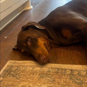 Meet your Posher, Mikey